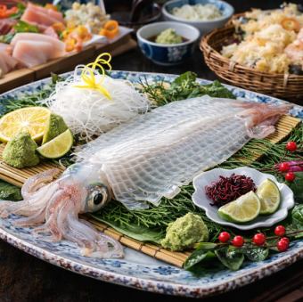 ●呼子直送!!活きイカコース●全11品6000円●ごま鯖/明太もつ鍋【お料理のみ】