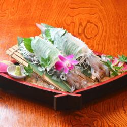 季節の活きイカ