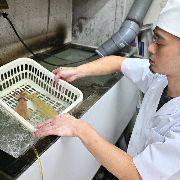 ≪毎朝直接仕入れ！≫天然活いか