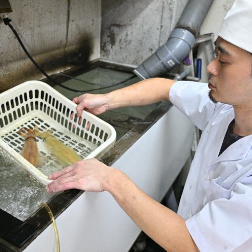 ≪毎朝直接仕入れ！≫天然活いか