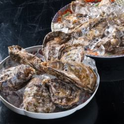 毎日入荷！糸島の三倍体牡蠣