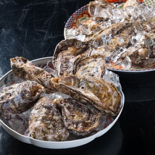 毎日入荷！糸島の三倍体牡蠣