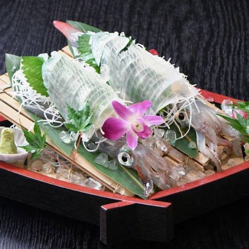 季節の活きイカ