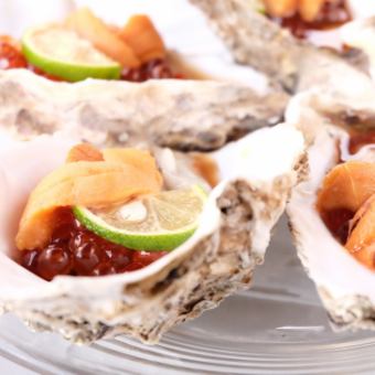 [Oyster] Gout raw oyster