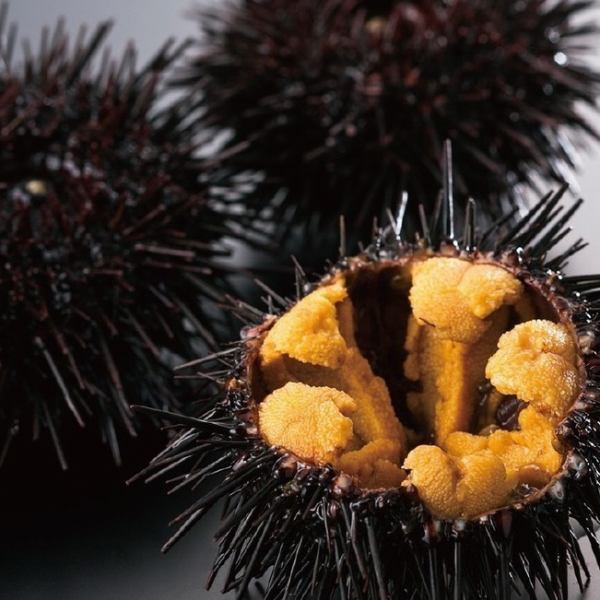[Direct delivery from Sanriku fishing port @ Summer is in season "Hirono Town 4th year sea urchin"]