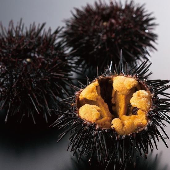 [Sanriku sea urchin cooking full of nature and smiles] Casual sea urchin cooking selected for the anniversary "Sanriku sea urchin cooking run by the owner of a Sanriku fisherman, a special space with only 16 seats"