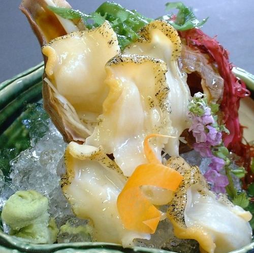 活ツブ刺身