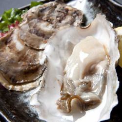 道産殼 첨부 생굴 (1 개)