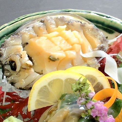 活あわび刺身