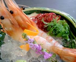 큰 버튼 새우 회 (2 꼬리)