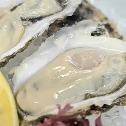 道産殼付き生牡蠣(1個)