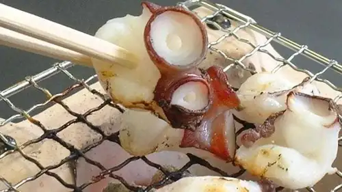 Live Takoyaki