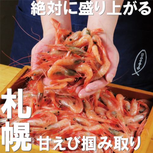 甘エビつかみ取り