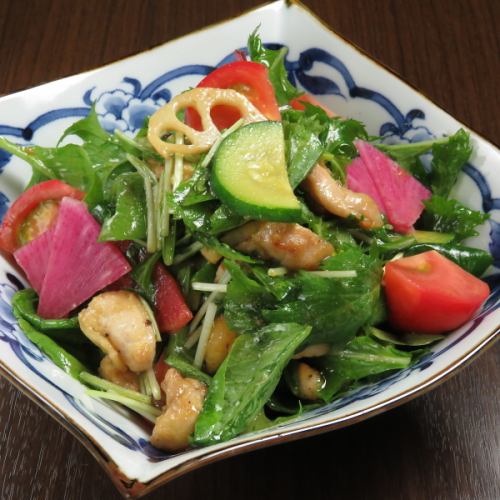 Hinai chicken special salad