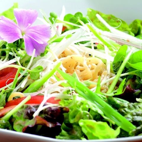 Colorful vegetable ramen salad with roasted sesame seeds
