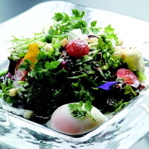 Caesar salad with hot spring egg