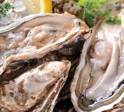 One oyster sent directly from Akkeshi is 250 yen