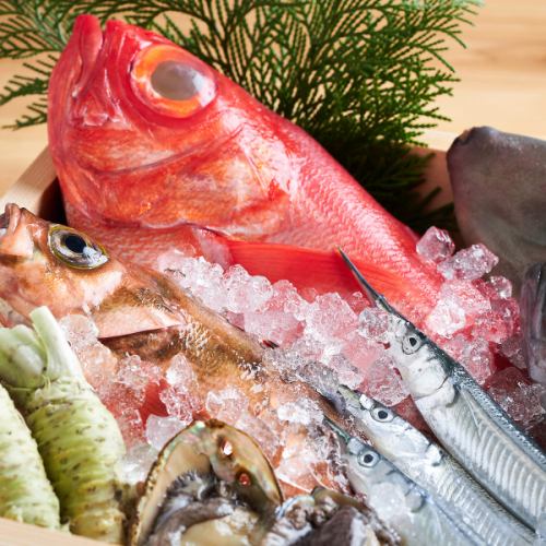新鮮な鮮魚の刺身を堪能