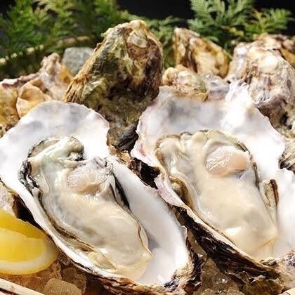 [Blessings of the fresh sea] Sanriku, Iwate Prefecture! "Raw oysters with shells"