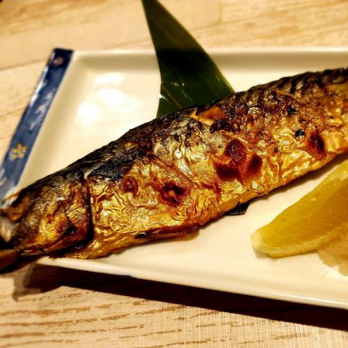 Culture mackerel