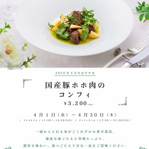 【2026.4/1(水)～4/30(木)】4月のおすすめランチ「国産豚ホホ肉のコンフィ」