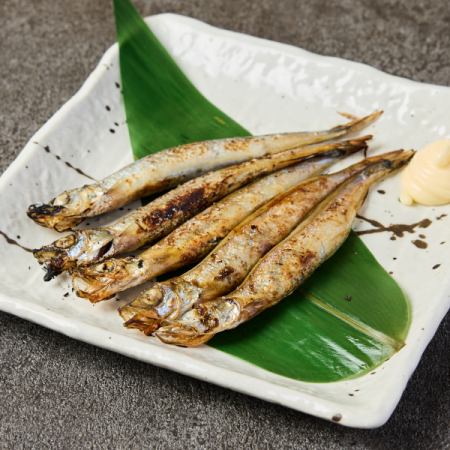 Grilled Shishamo