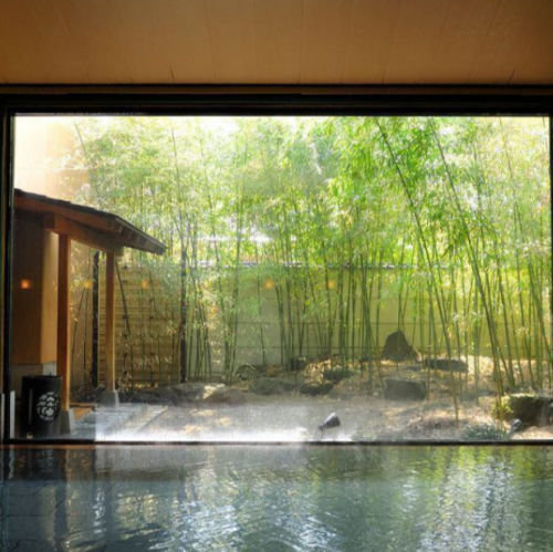 Day trip hot spring