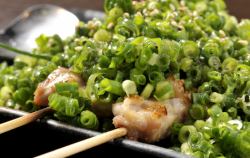 Angel's Green Onion and Salt Chicken