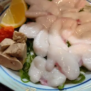 시라코 사시미