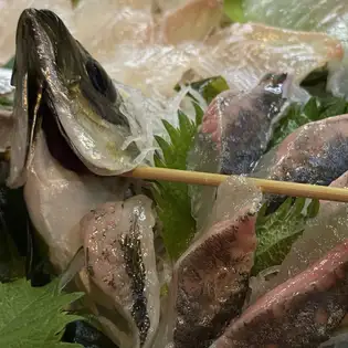 수국활동