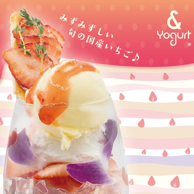 This is a special, rich Greek yogurt parfait menu item that's only available during this period!