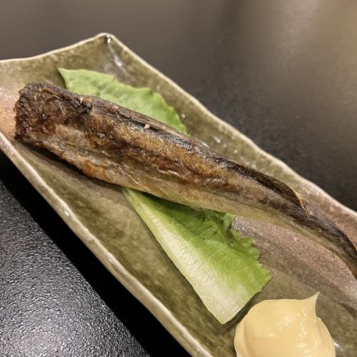 大狛魚（1條）
