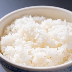 ご飯