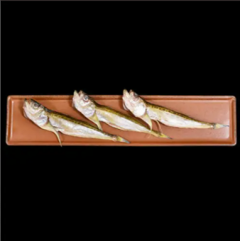 [Nippon Seafood] Sandfish overnight dried (3 sticks)