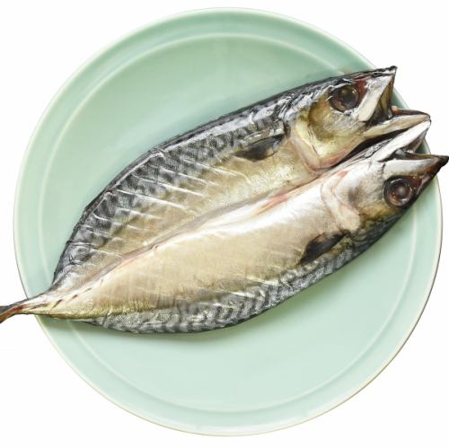 [Sanriku] Kinka mackerel dried overnight from Ishinomaki