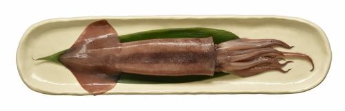 [Sanriku] Squid dried overnight from Aomori Prefecture