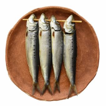 [Chiba Prefecture] Eye-catching sardines (4 pieces)