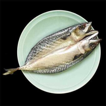 石巻産金華さば一夜干し