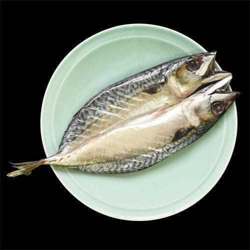 石巻産金華さば一夜干し