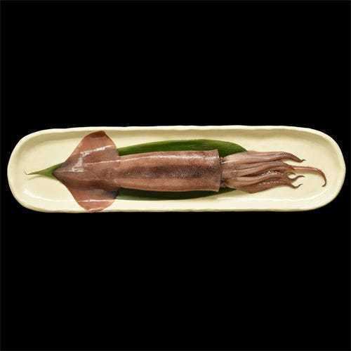 青森県産烏賊の一夜干し