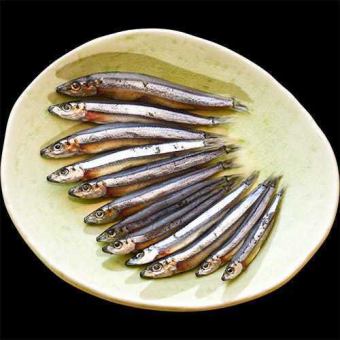 きびなご一夜干し