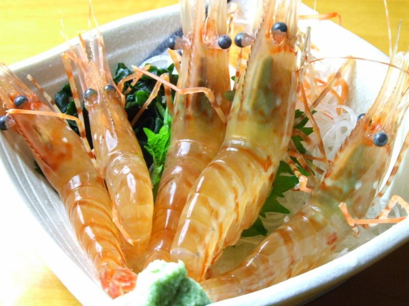 [Unleashed on March 1!] Live Botan Shrimp (Medium/Large)