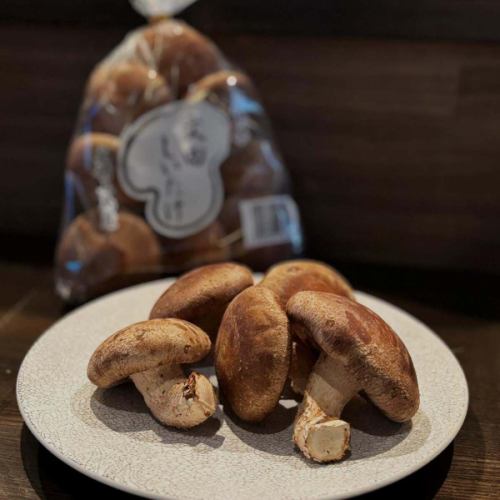 大崎上島産文田しいたけのスパゲティプッタネスカ🍄‍🟫🍅
瀬戸内海の中央に位置する、大崎上島町で
友人夫婦とそのご家族が経営されている
【文田しいたけ】さんの大きくて肉厚なしいたけ！
しいたけ大好きな私の大好物です🤤
イタリアンとしいたけって繋がりづらいですが…🙄
酸味のあるトマトパスタと合わせ、
少し和風を感じるパスタにしました🍝
しいたけの旨味とトマトの旨味って案外相性いいんです！

たくさんの方に
このしいたけの美味しさ知っていただきたい！
との思いで数量限定ですが、
少しお得なお値段でご用意してます😆
出会えたらぜひ食べてみてください♪
#ルチオ広島#広島イタリアン#広島パスタ