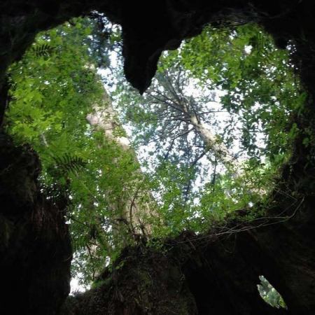 【吉祐栄門からのお知