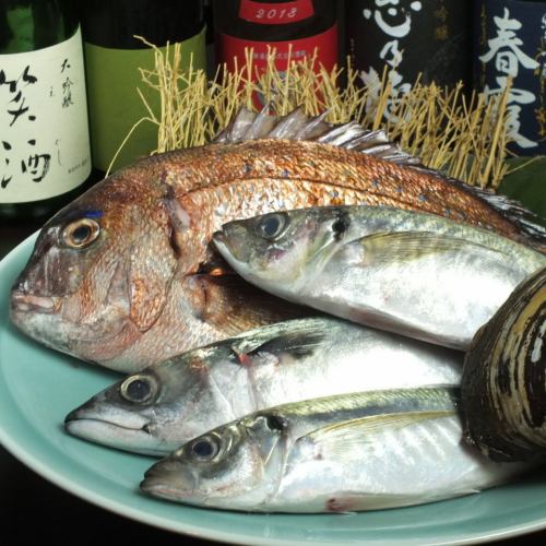 【Taste fresh fish】