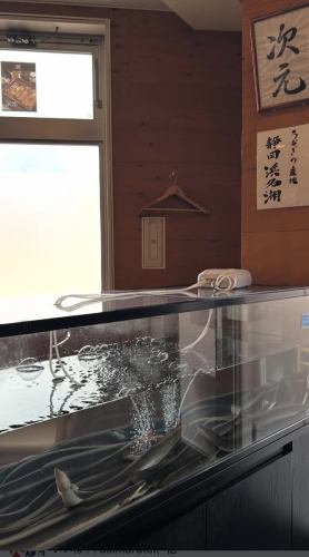 水槽から活きた鰻をそのまま蒲焼きに◎