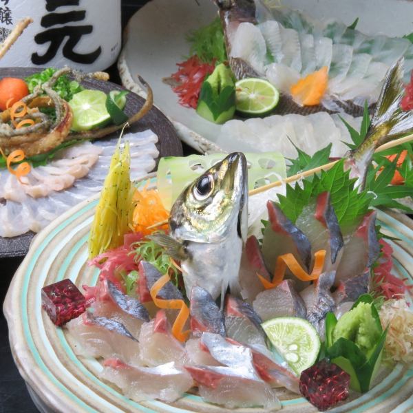 Live fish sashimi