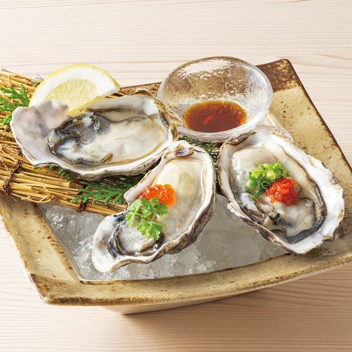 Assortment of 3 kinds of live-caught oysters from New Zealand