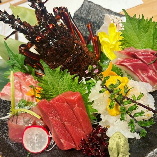贅沢な鮮魚の盛り合わせやコース各種・期間限定・宴会コースをご用意しております！