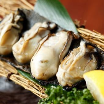 Grilled oysters in kelp-tailored with salted sardines-